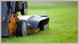 Tulsa Lawn Services